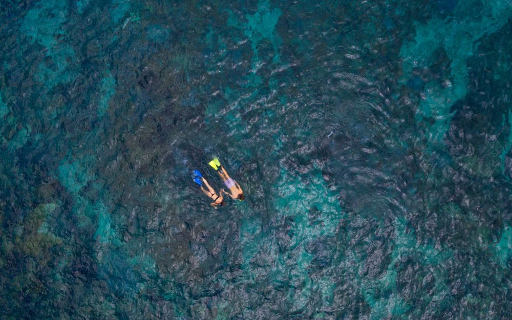 AWR - SNORKELING