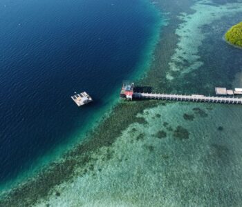 Atlas Pearls Pungu Island 1