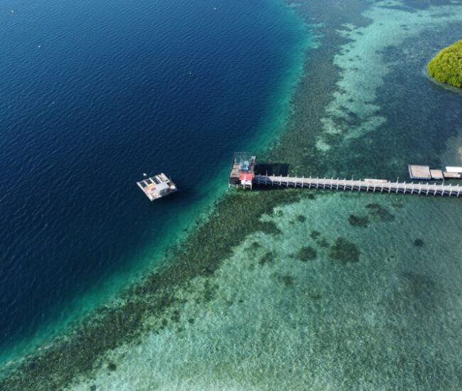 Atlas Pearls Pungu Island 1