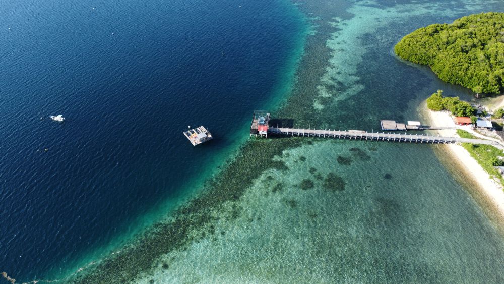 Atlas Pearls Pungu Island 1