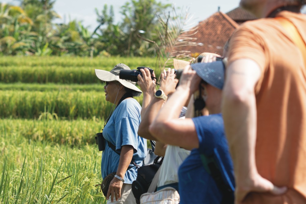Bali Bird Walk Birdwatching in Ubud 1