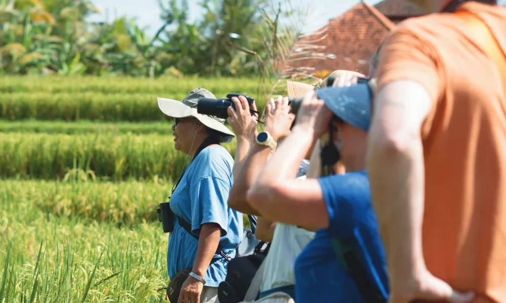 Bali Bird Walk Ubud Birdwatching 1
