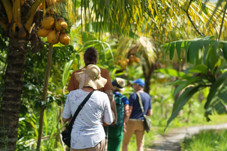 Bali Bird Walk Birdwatching in Ubud
