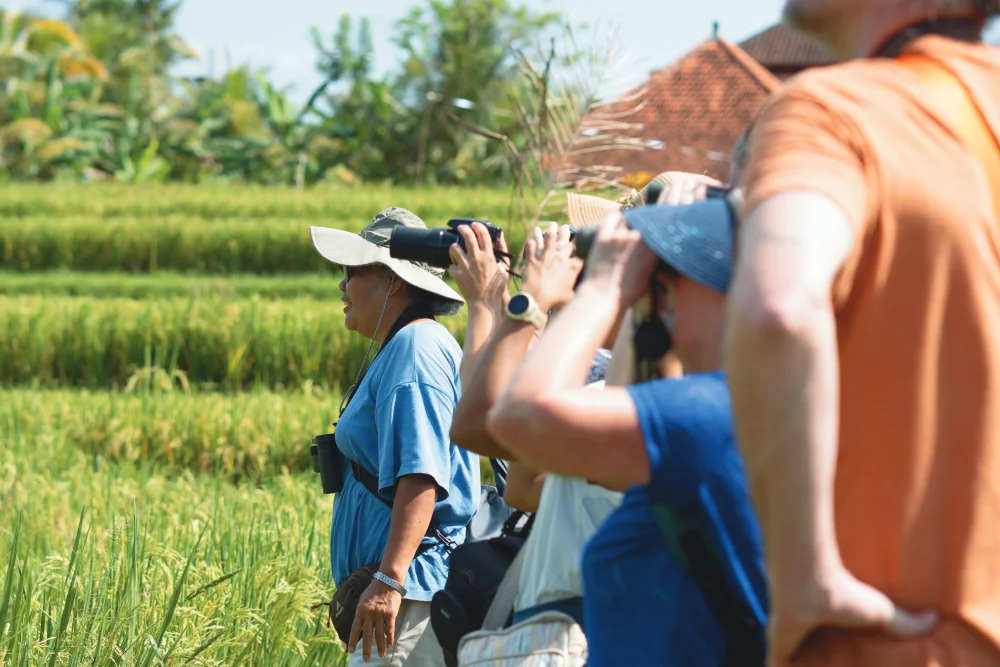Bali Bird Walk Birdwatching in Ubud