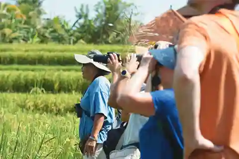Bali Bird Walk Ubud Birdwatching
