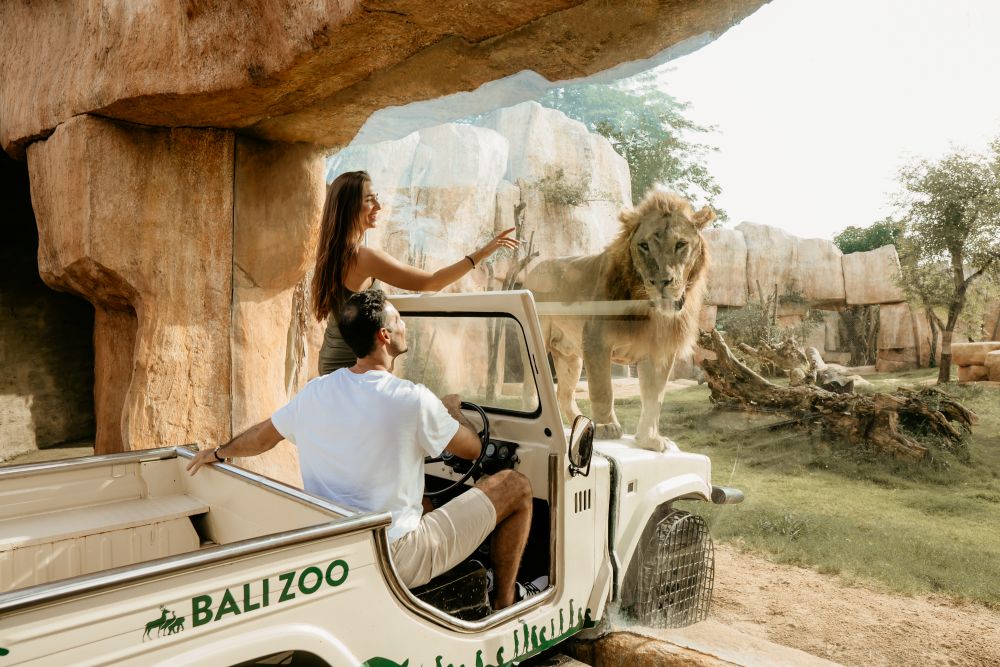 Bali Zoo Activity 1