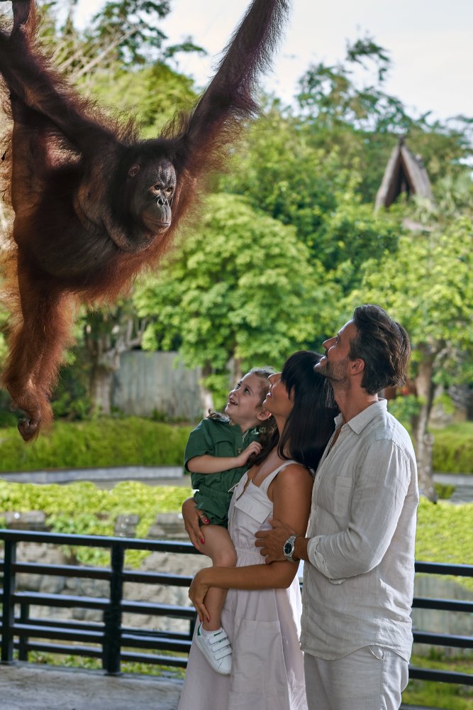 Bali Zoo Activity 2