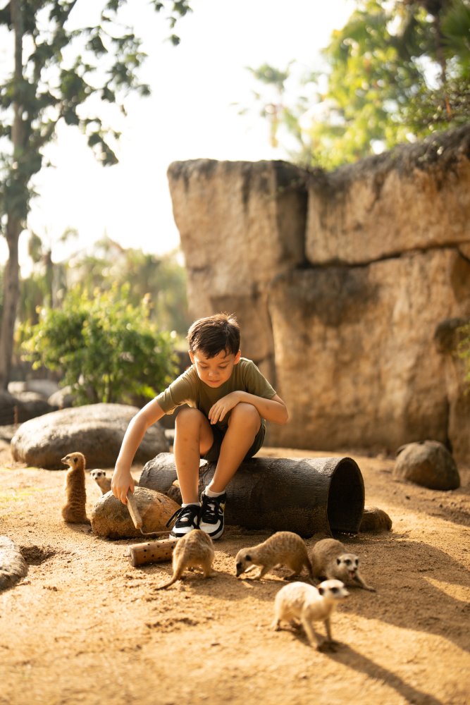 Bali Zoo Activity 4