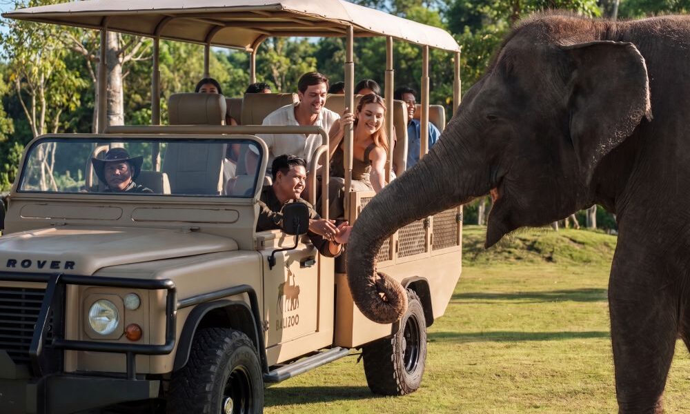 Bali Zoo - Elephant Explorer 1
