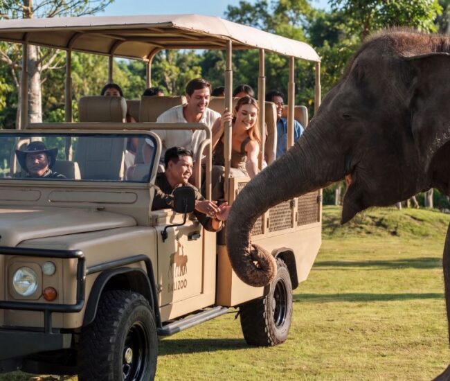 Bali Zoo - Elephant Explorer 1