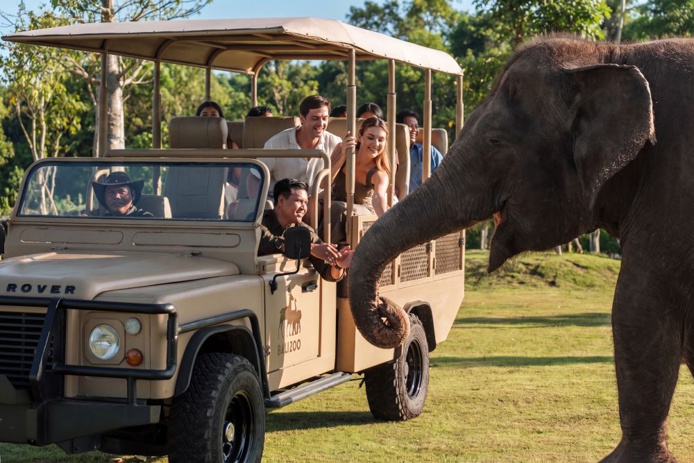 Bali Zoo - Elephant Explorer 1
