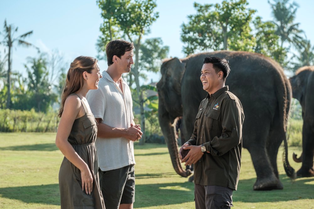 Elephant Explorer 6