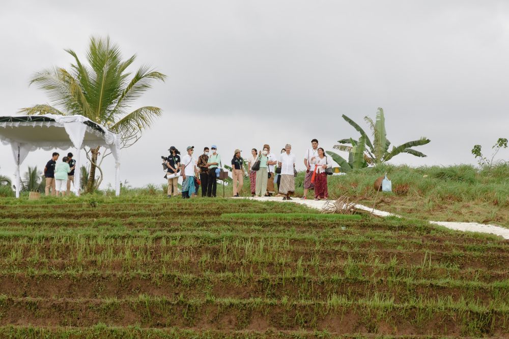 Kinar Village Farm