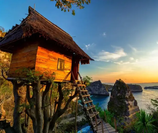 Thousand Islands Viewpoint