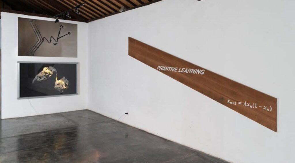Primitive-Learning-by-Filippo-Sciascia-at-Nonfrasa