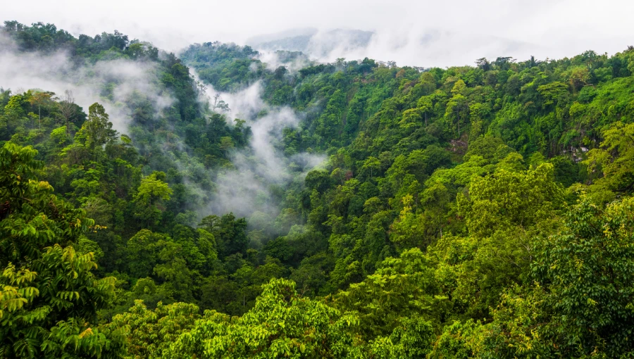 
Mist folds into the foothills of Mount Rinjani, photo by David Metcalf
