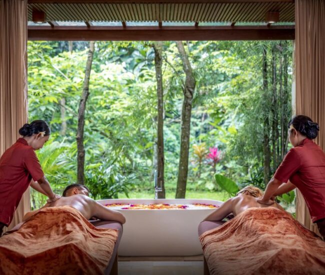 Tejas Spa Suweta 2