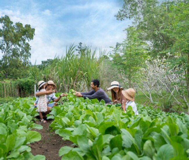 AYANA Resort Bali - AYANA Farm