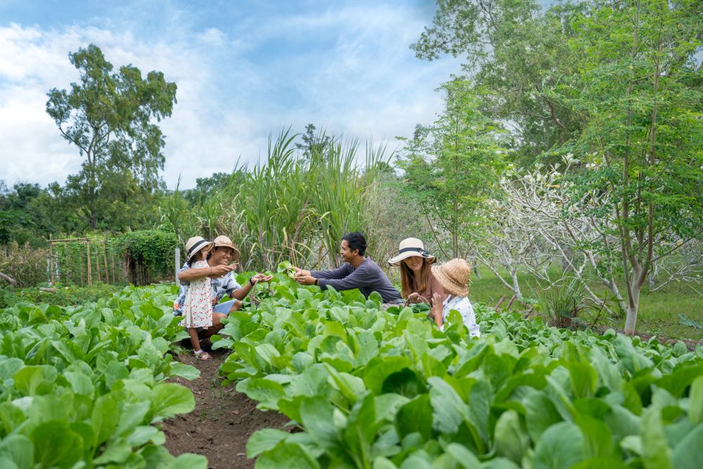 AYANA Resort Bali - AYANA Farm
