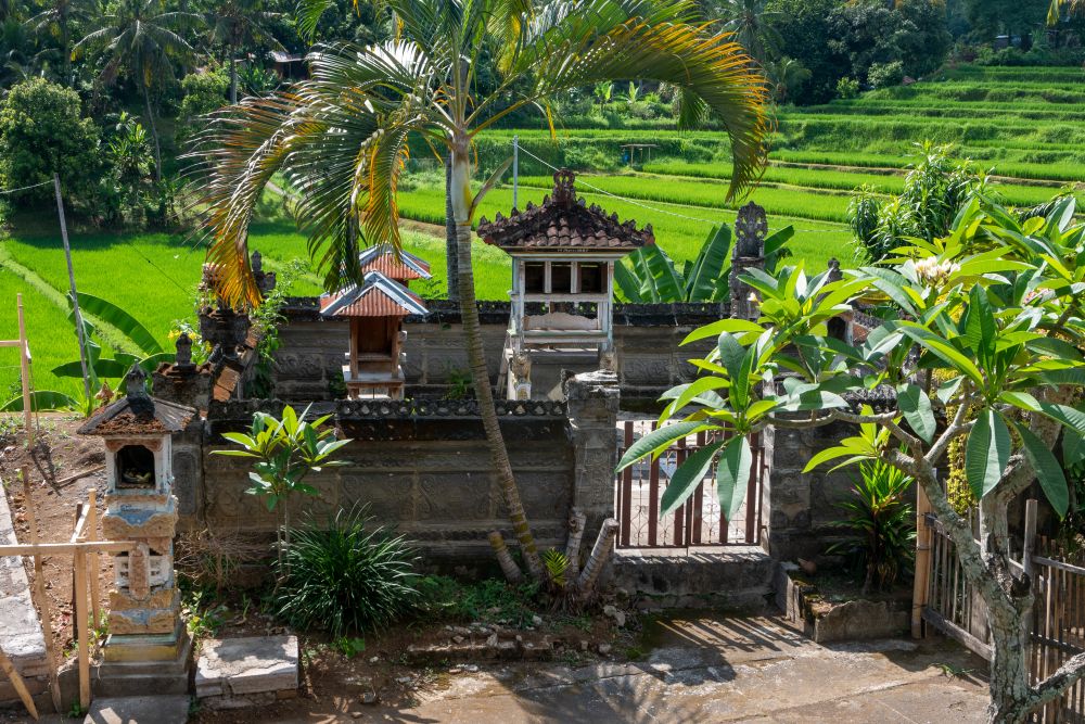 Mayong - Family Shrine