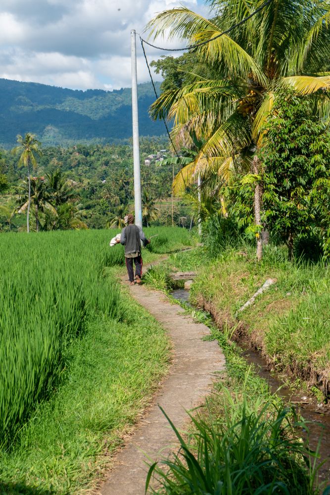 Mayong - Local Farmer