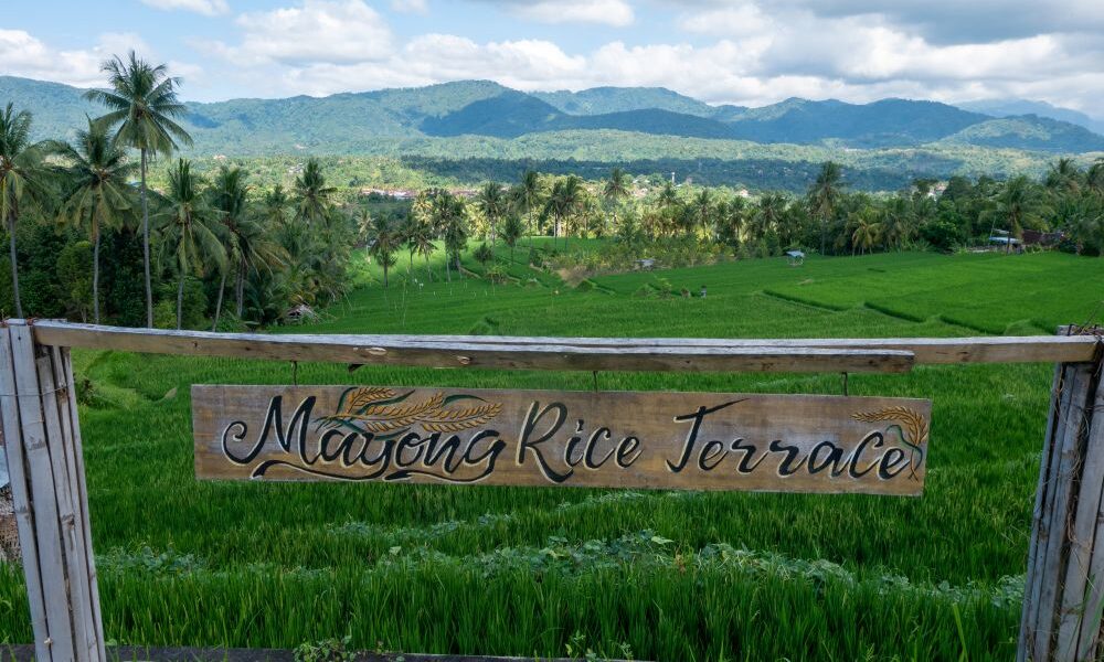 Mayong Rice Terrace 2