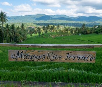 Mayong Rice Terrace 2