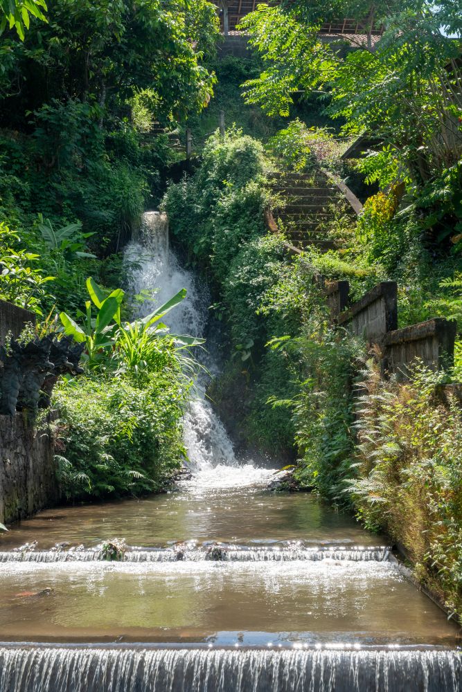 Mayong - Subak System