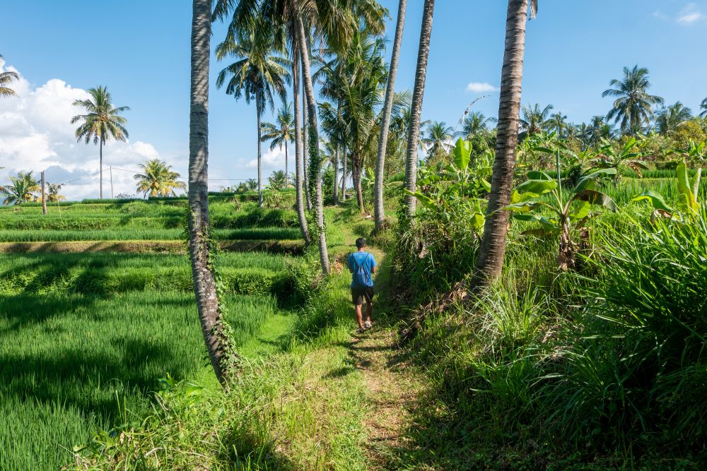 Mayong - Trekking 1
