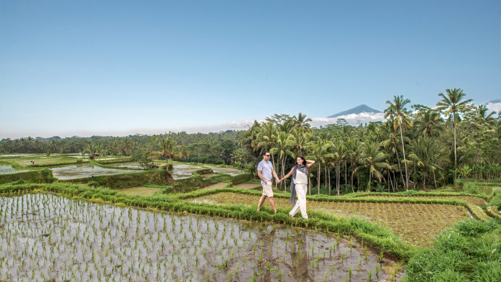Samsara Ubud Wellness 2