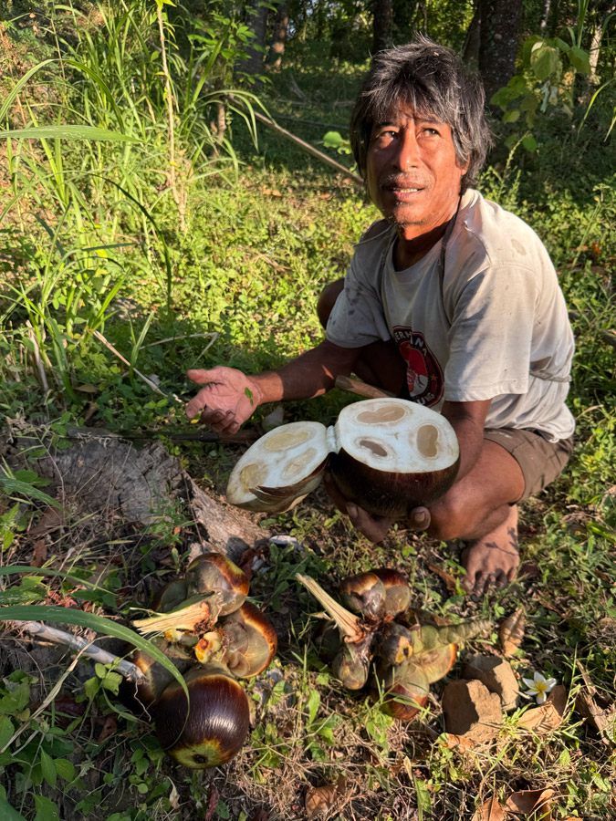 Real Arak from Dapur Mula Desa Les Bali