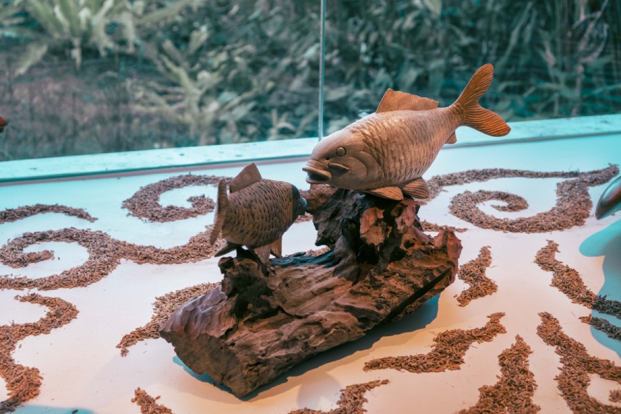 Ngardi’a Manu Exhibition 2