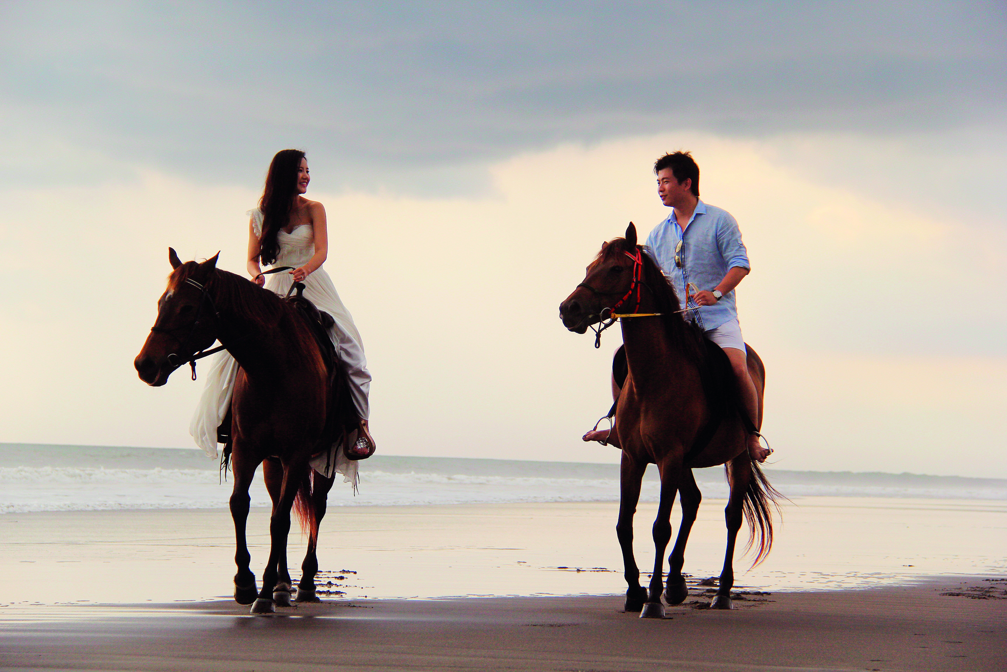 Bali_ISland_Horse.jpg